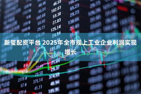 新玺配资平台 2025年全市规上工业企业利润实现增长